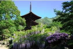 前山寺の写真