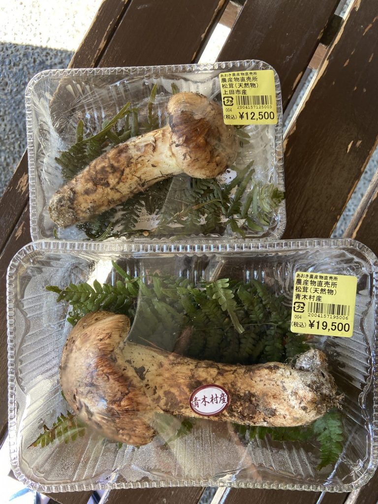 全国で有名 松茸‼️ 青木村道の駅 新‼️情報 松茸買えました メインイメージ画像