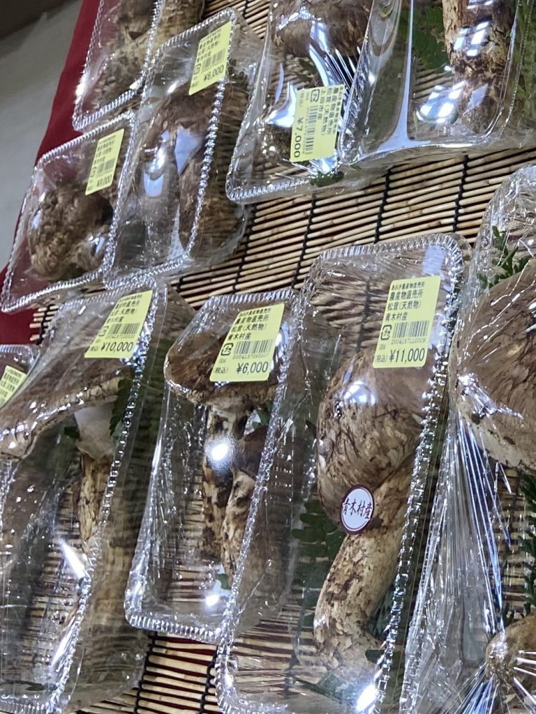 松茸豊作‼️ 青木村道の駅 松茸ありました‼️ メインイメージ画像