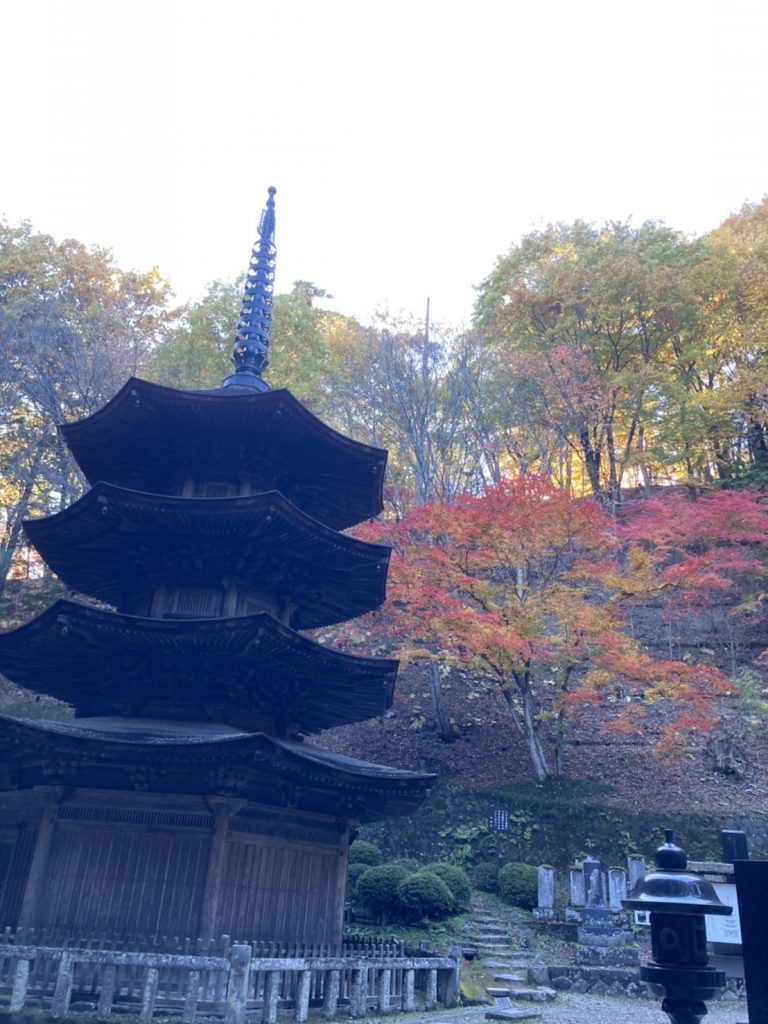 別所温泉 塩田平 紅葉速報‼️ メインイメージ画像