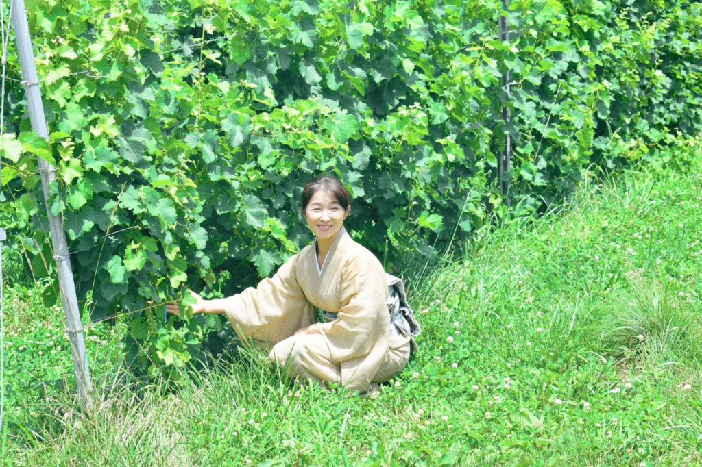 あの有名なヴィラデストワイナリーさんに オレ(笹平)の畑を貸している‼️女将突撃取材 メインイメージ画像