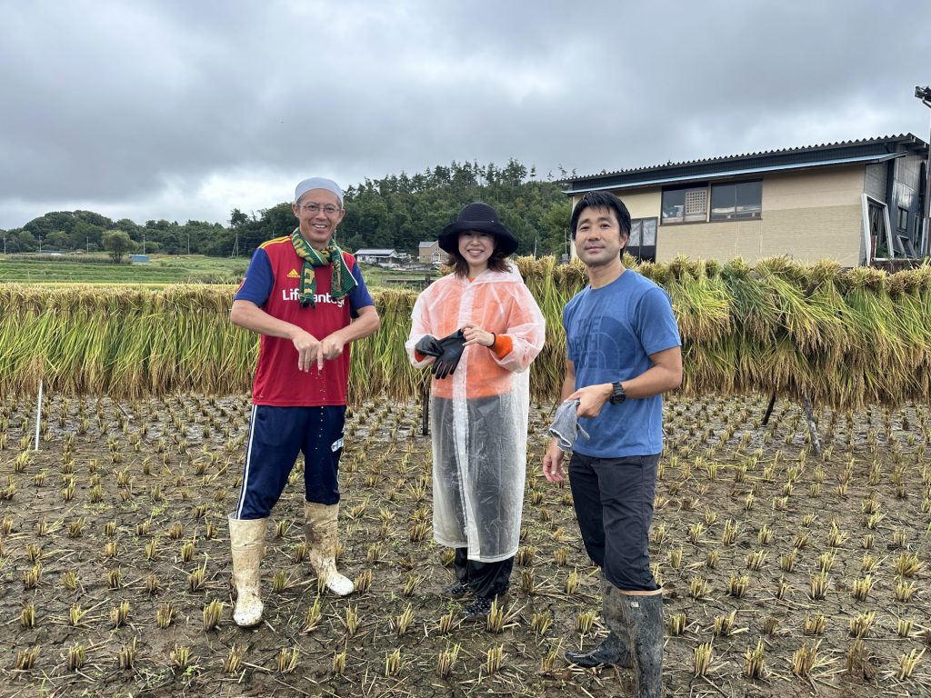 女将ちゃん不在‼️緊急事態‼️夫達駆り出される💦笹平さん 稲刈り編 メインイメージ画像