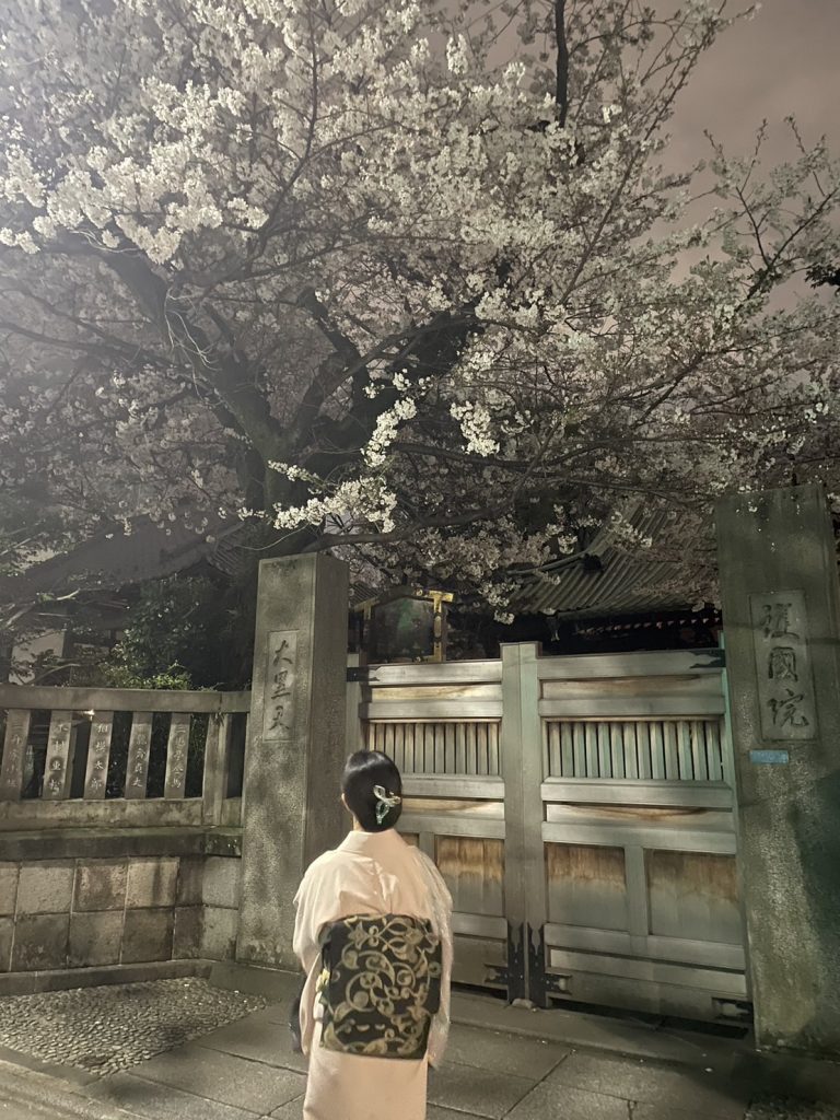 女将ちゃんの休日 美味しいお料理と 満開夜桜 見てきました‼️ メインイメージ画像