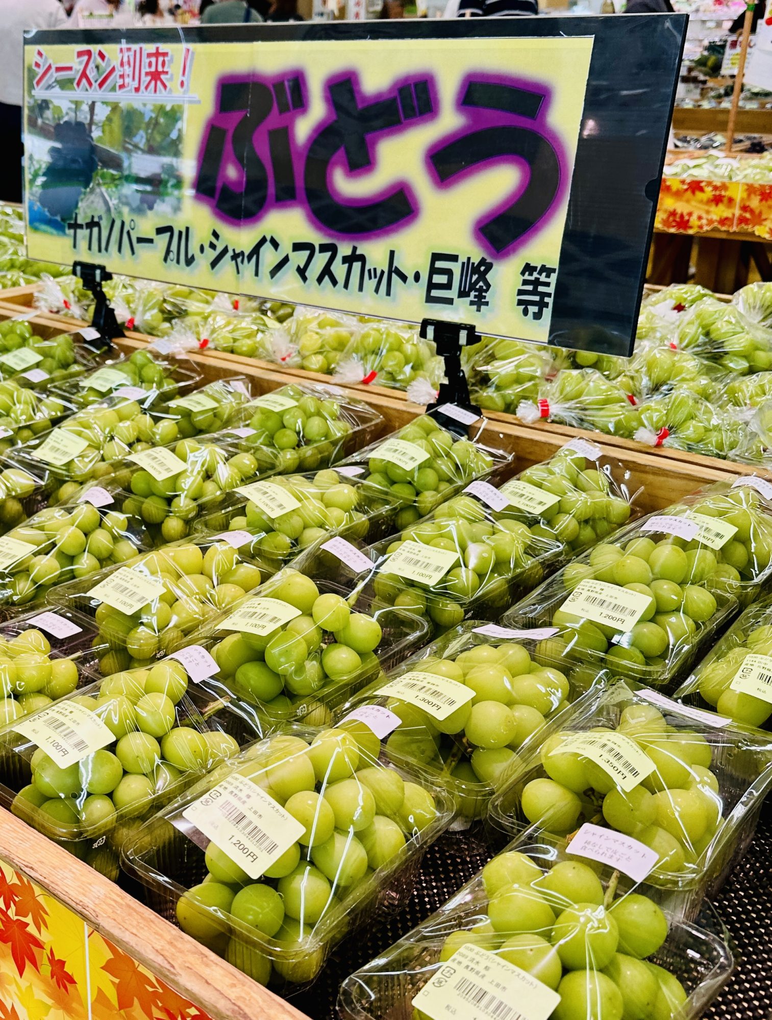 マルシェ 国分 新鮮野菜 果物の発信地‼️ | 別所温泉 親子三世代で