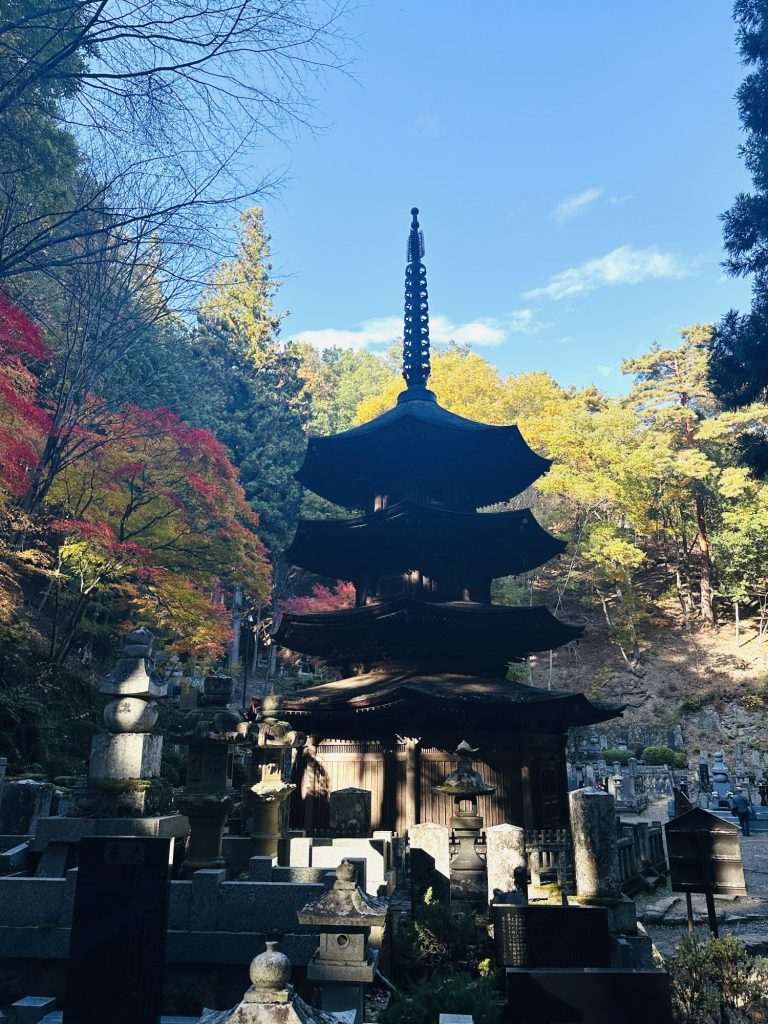 そうだ。別所温泉に行こう‼️ただいま 紅葉真っ盛りです メインイメージ画像