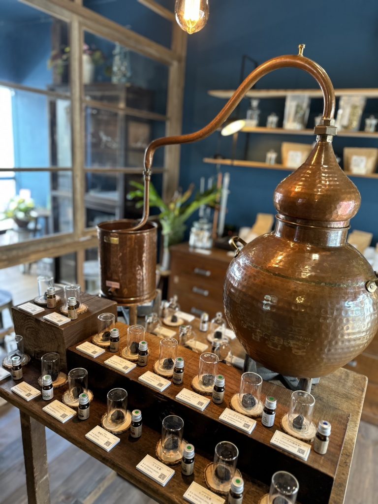 りょう君の素敵なお店✨『HIPPOCAMPUS』Shop編 メインイメージ画像