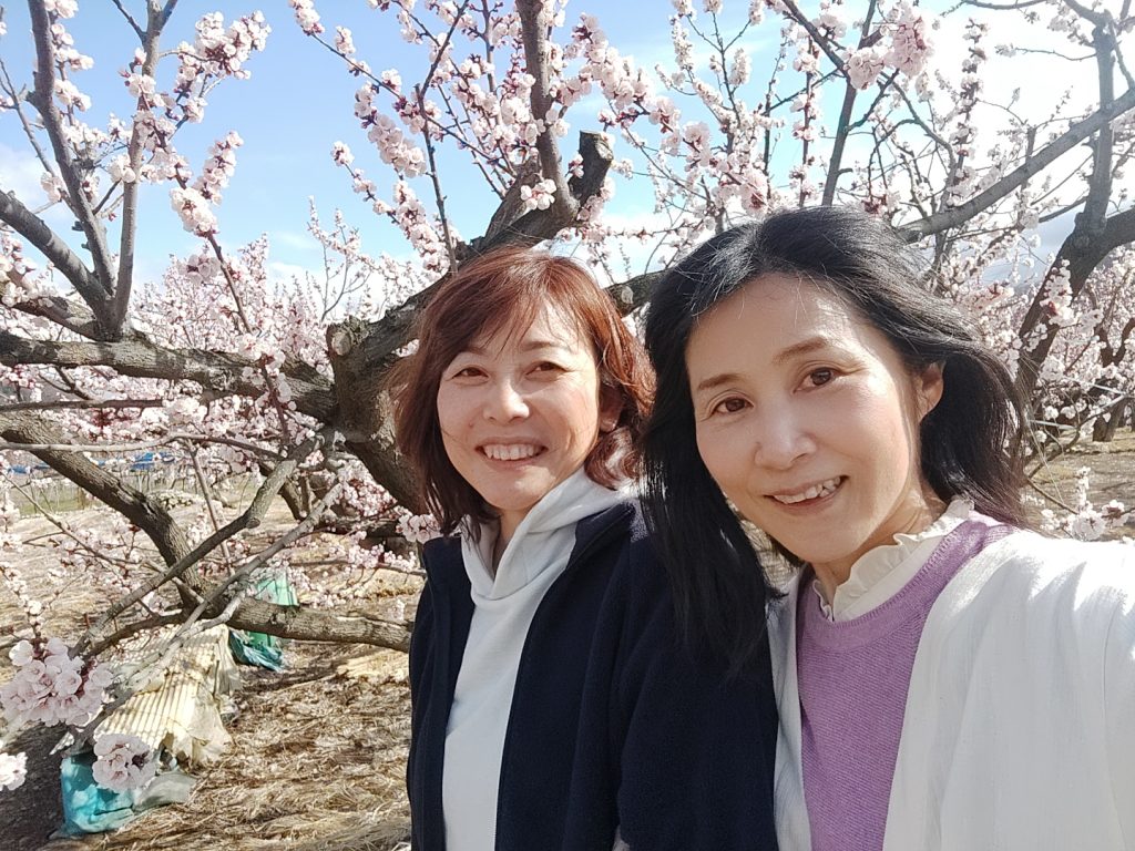 みちこの休日～なおちゃんと『あんずの里』お花見デート♡～ メインイメージ画像