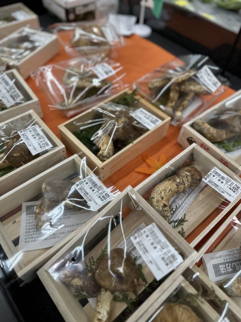 マルシェ国分 松茸 果物 お野菜 色々買えます メインイメージ画像