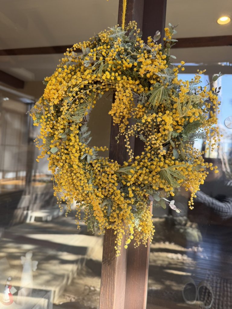 HALE PLUMERIA　またまた若返りのランプに乗る　女将ちゃん メインイメージ画像