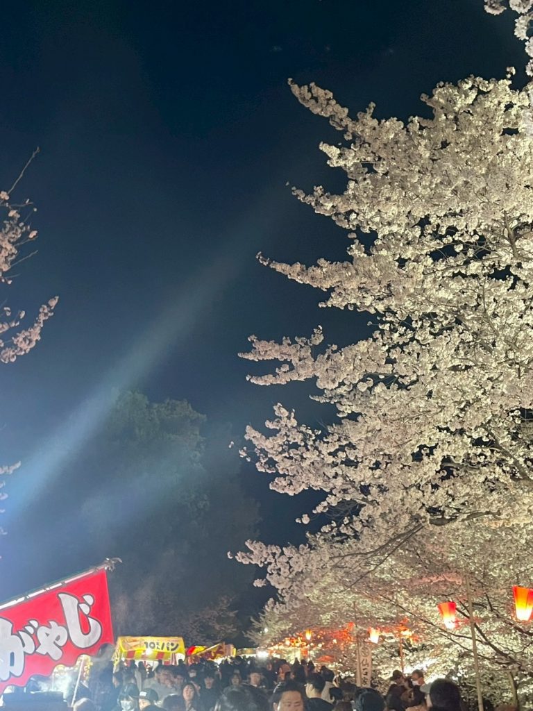 上田城満開です🌸 メインイメージ画像